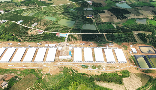 湖北當(dāng)陽(yáng)宇宙15400育肥場(chǎng)