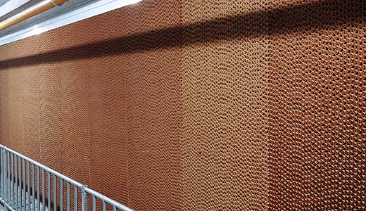 河南民權(quán)楊西6000種豬場